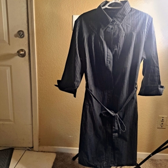 Plus Sized Pin Striped Button Down Dress - Picture 5 of 5